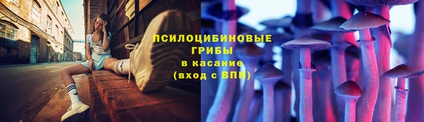 mix Лабытнанги